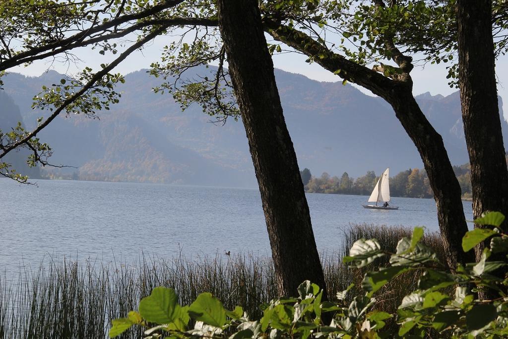 Gaestehaus Riki Oberschmid Steinbach am Attersee Esterno foto